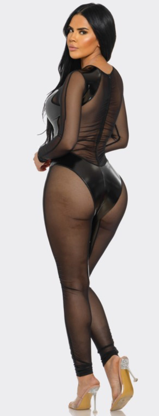 Not a Catsuit Jumpsuit